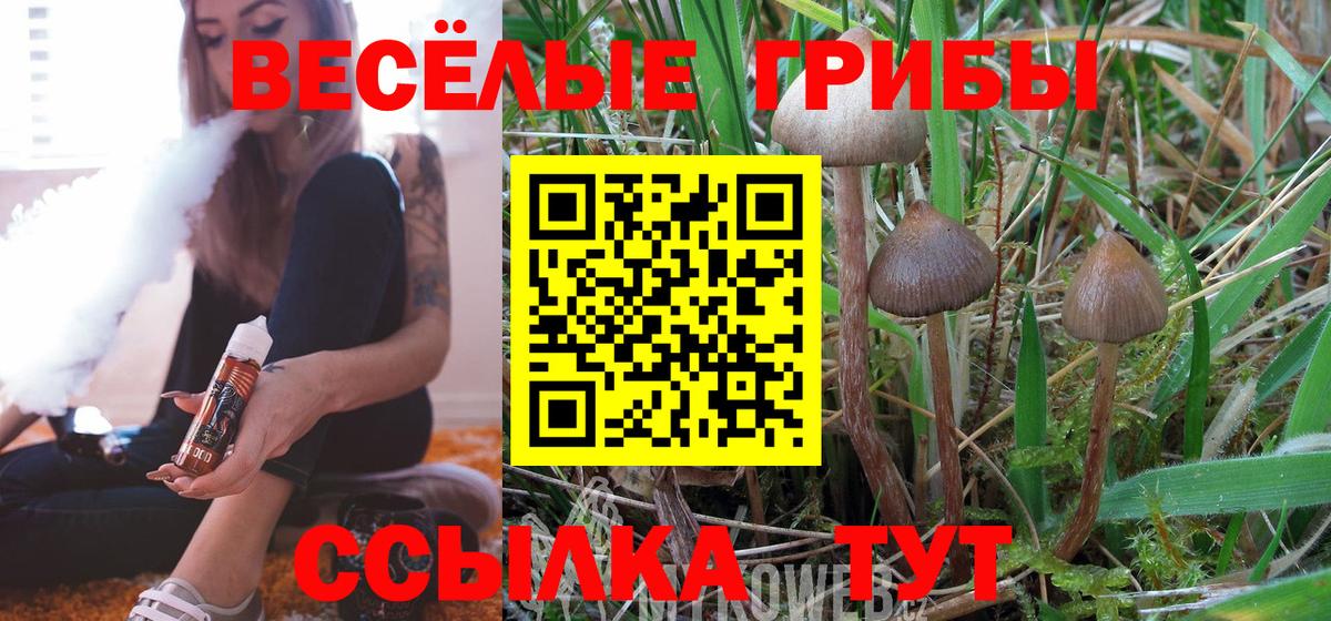 Магнитогорск  Псилоцибиновые грибы Magic Shrooms  Вход с VPN  Галлюциногенные грибы мухоморы 